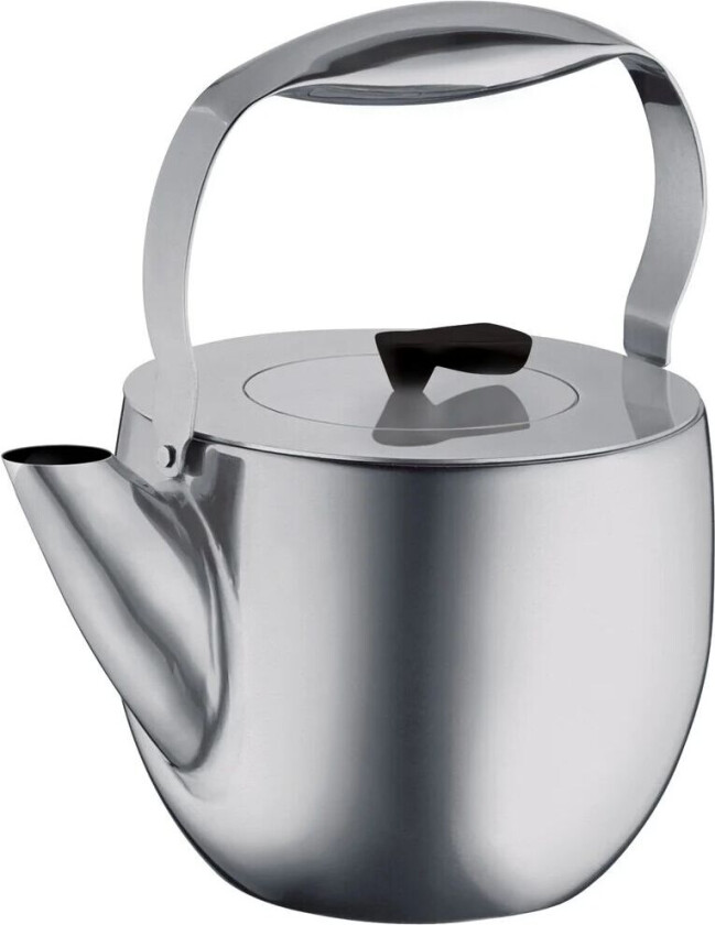 Bodum Columbia tekanne matt