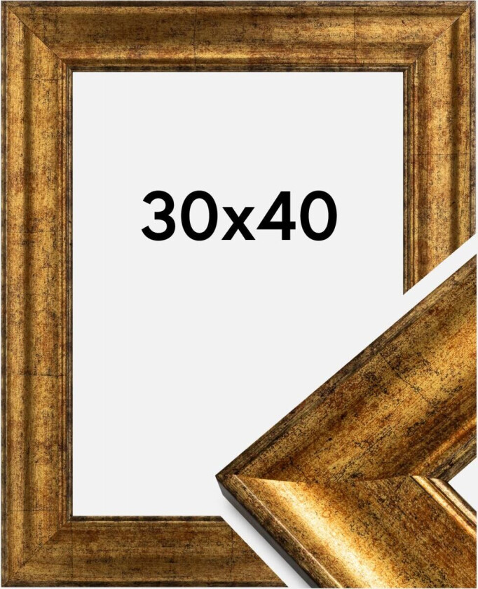 Ramme Saltsjöbaden Gull 30x40 Cm