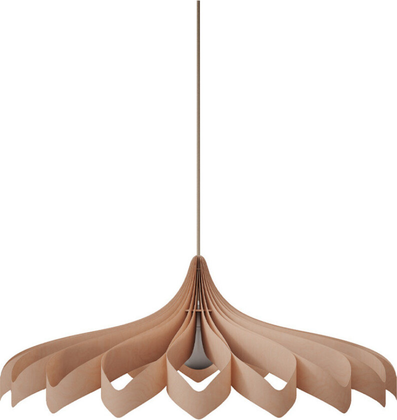 - Daisy L Pendel Bjørk