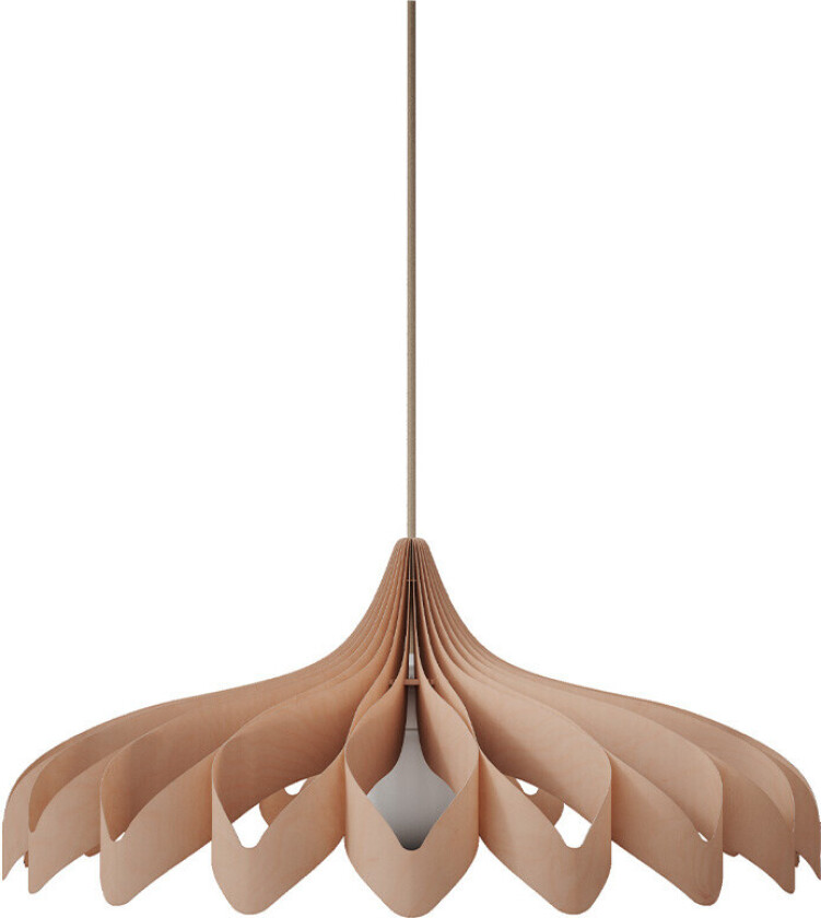 - Daisy S Pendel Bjørk