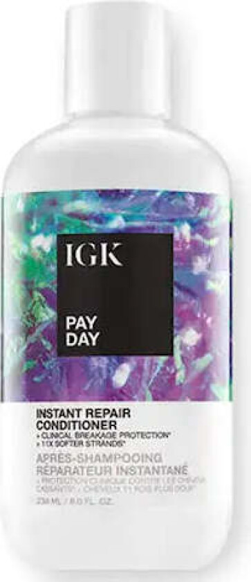 , Pay Day Instant Repair Conditioner