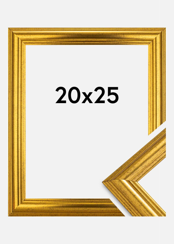 Ramme Västkusten Gull 20x25 Cm