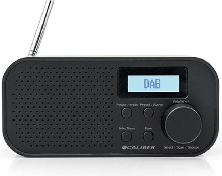 Transportabel Dab+ Og Fm Radio Opladelig