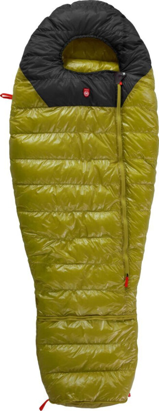 Kids' Quest Bear Olive/Black OneSize
