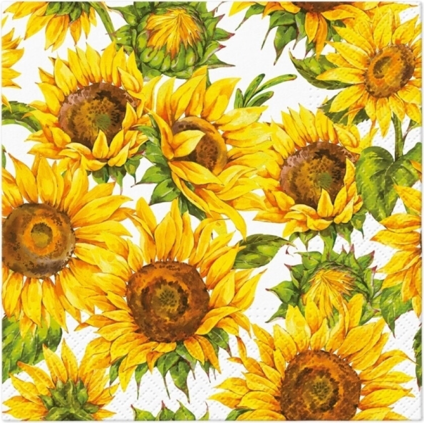 Paw Napkins Paper Dan Sunflowe 33X33cm 20Pcs