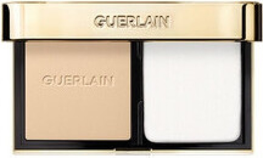 - Parure Gold Skin Control Hight Perfection Matte Compact Foundation - Kompaktní matující make-up 8,7 g