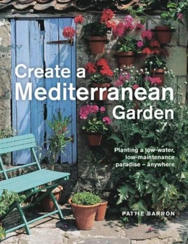 Create a Mediterranean Garden av Pattie Barron