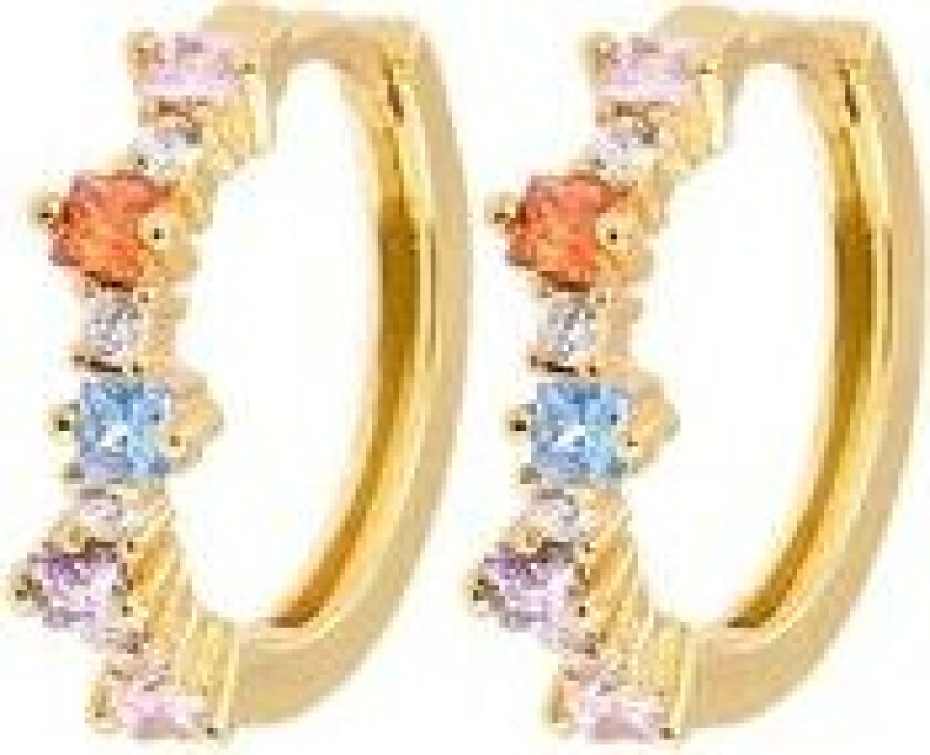 Mixed Medium Hoops - Bright One Size