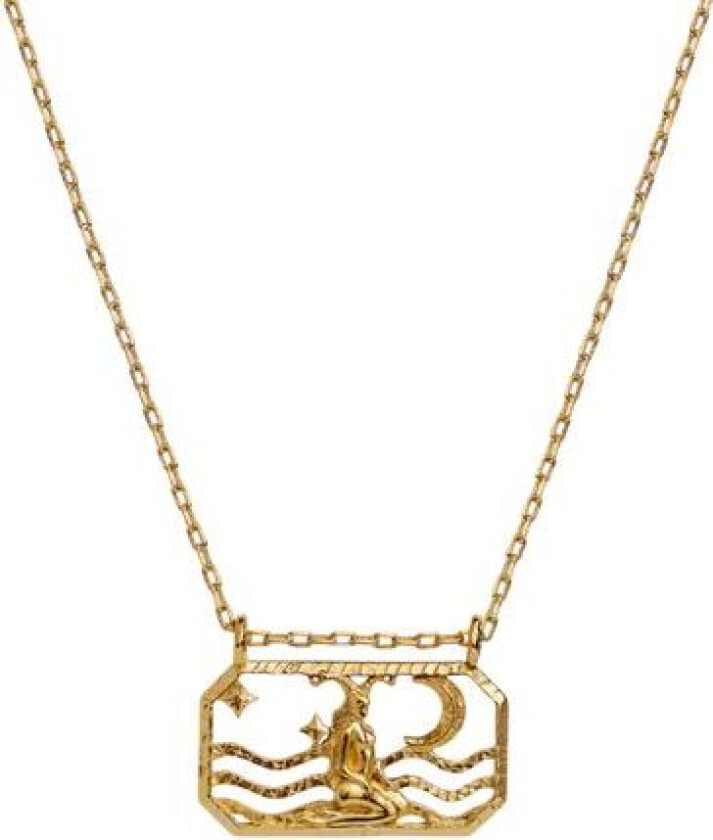 Zodiac Capricorn Necklace (Steinbukk) - Gold One Size