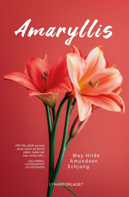 Amaryllis av May Hilde Amundsen Schjong