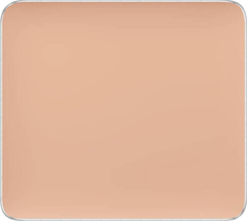 Freedom System Camouflage Concealer 107 2 g