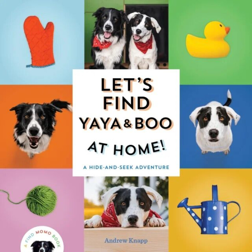 Let's Find Yaya and Boo at Home! av Andrew Knapp