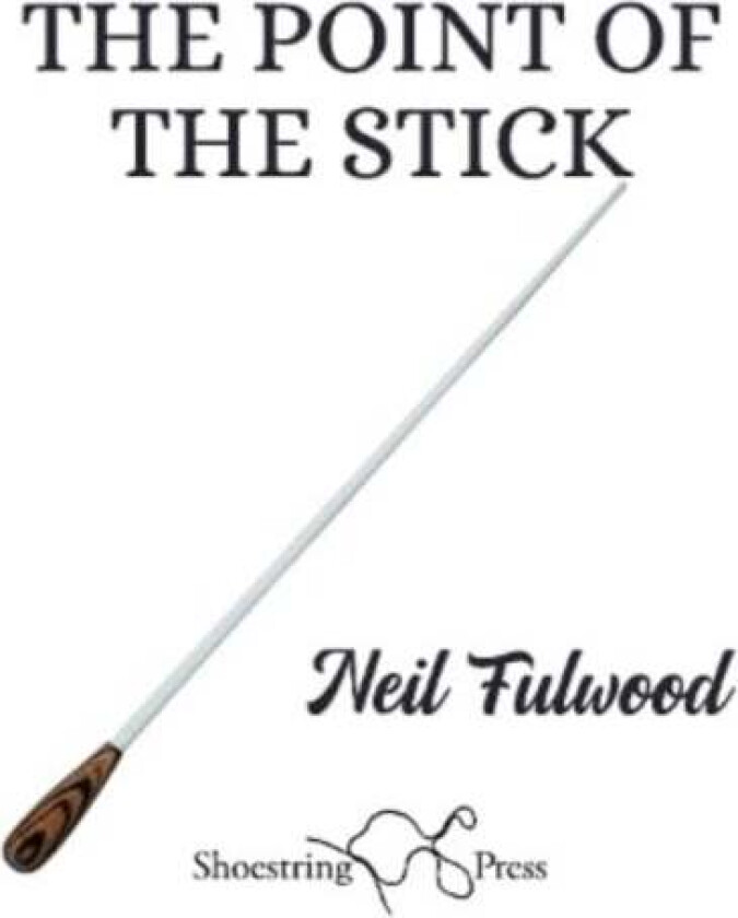 The Point of the Stick av Neil Fulwood