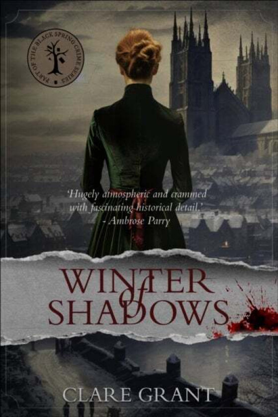 Winter of Shadows av Clare Grant