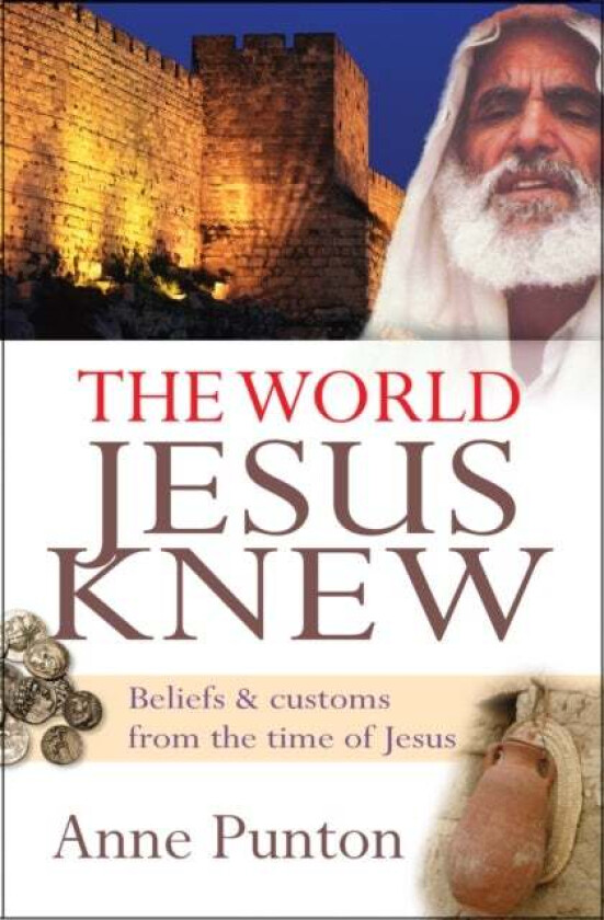 The World Jesus Knew av Anne Punton