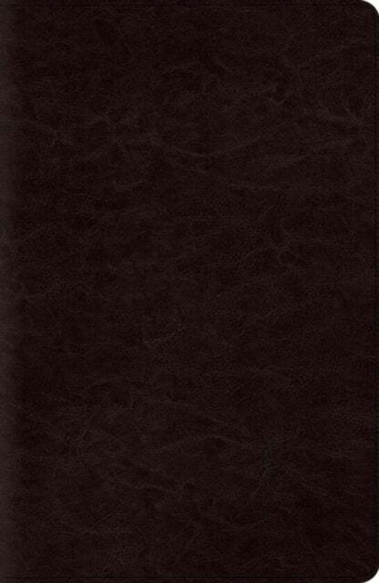 ESV Reference Bible