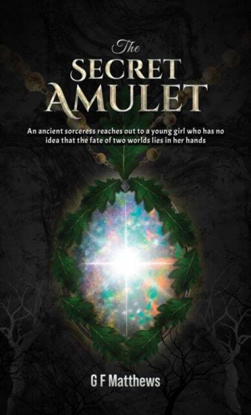 The Secret Amulet av G F Matthews