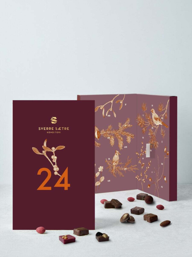Julekalender Sverre Sætre bok 24 biter