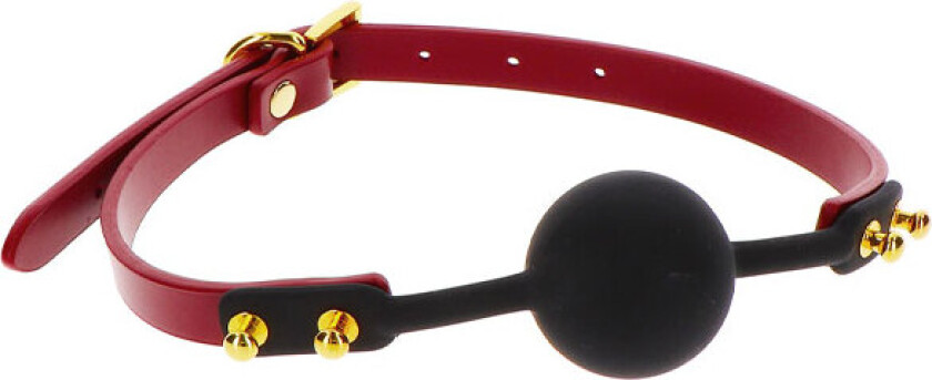 Silicone Ball Gag