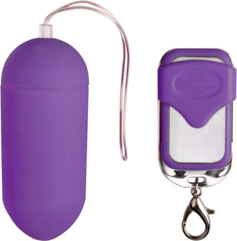 Remote Controllable Vibrating Egg