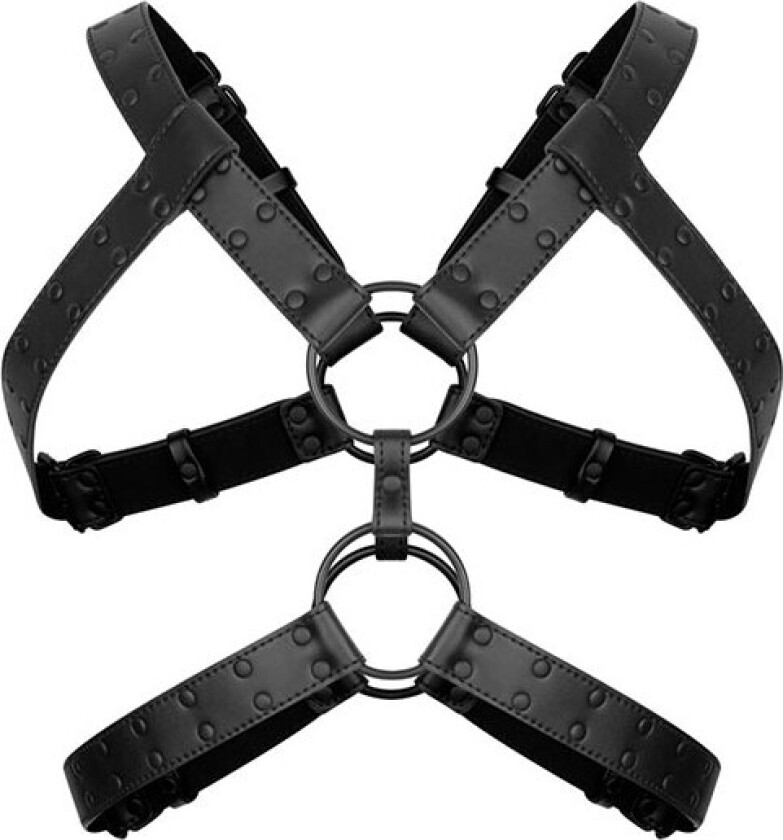 Rocco Bondage Harness