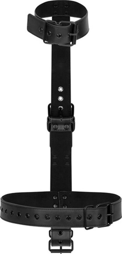 Restraintsett m/ Halsbånd og Håndleddsmansjetter