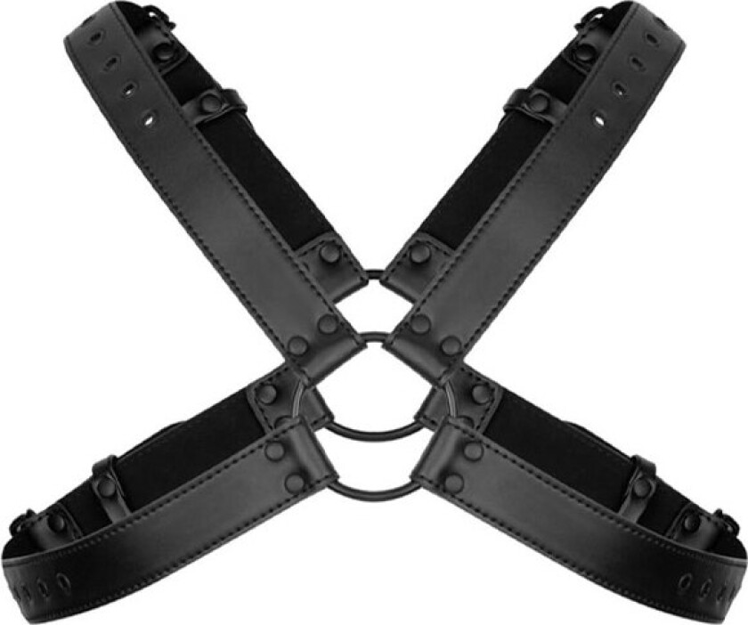 Lionel Bondage Harness