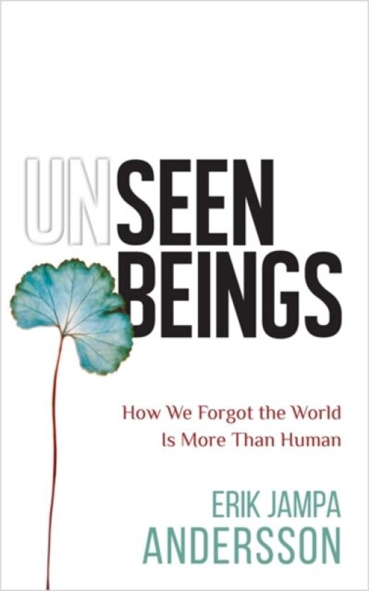 Unseen Beings av Erik Jampa Andersson