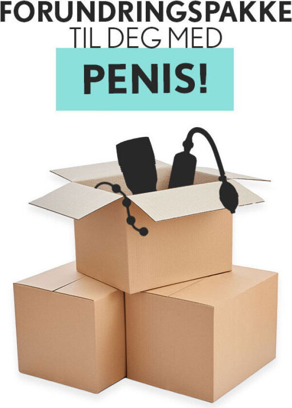 Forundringspakke 2024 - Til deg med penis