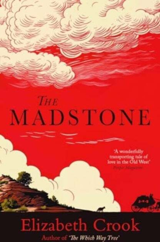 The Madstone av Elizabeth Crook