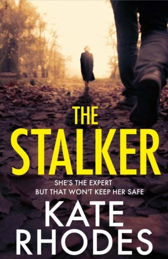 The Stalker av Kate Rhodes