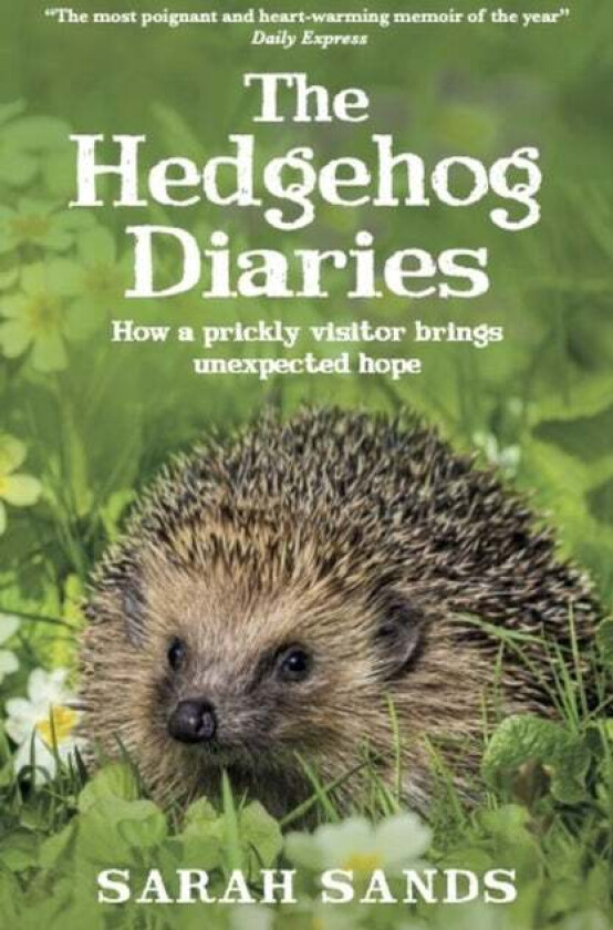 The Hedgehog Diaries av Sarah Sands