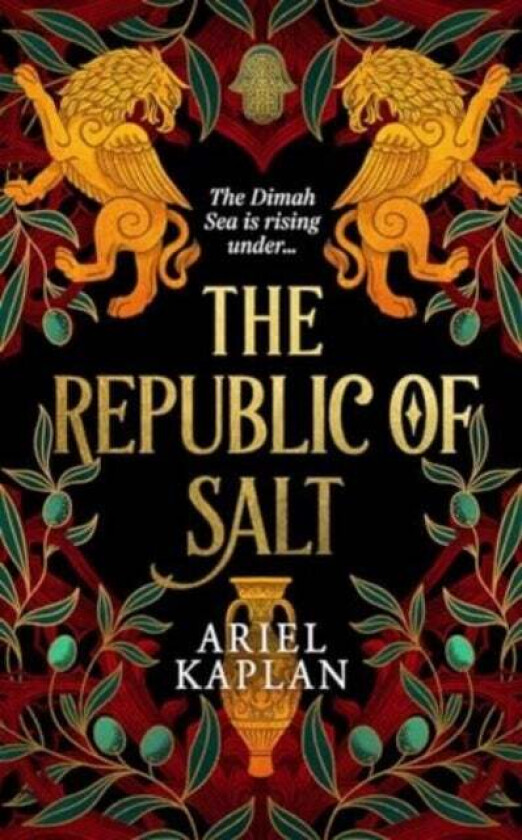 The Republic of Salt av Ariel Kaplan