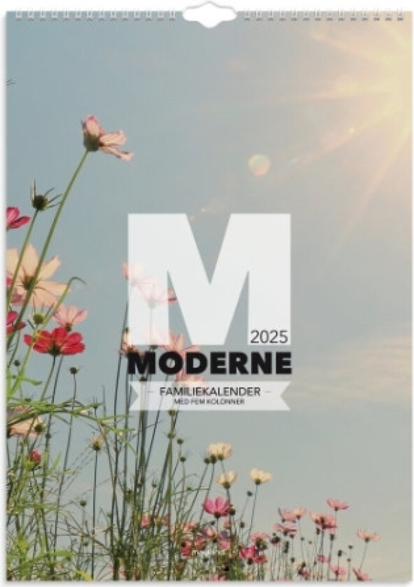 Familiekalender Moderne A3 2025