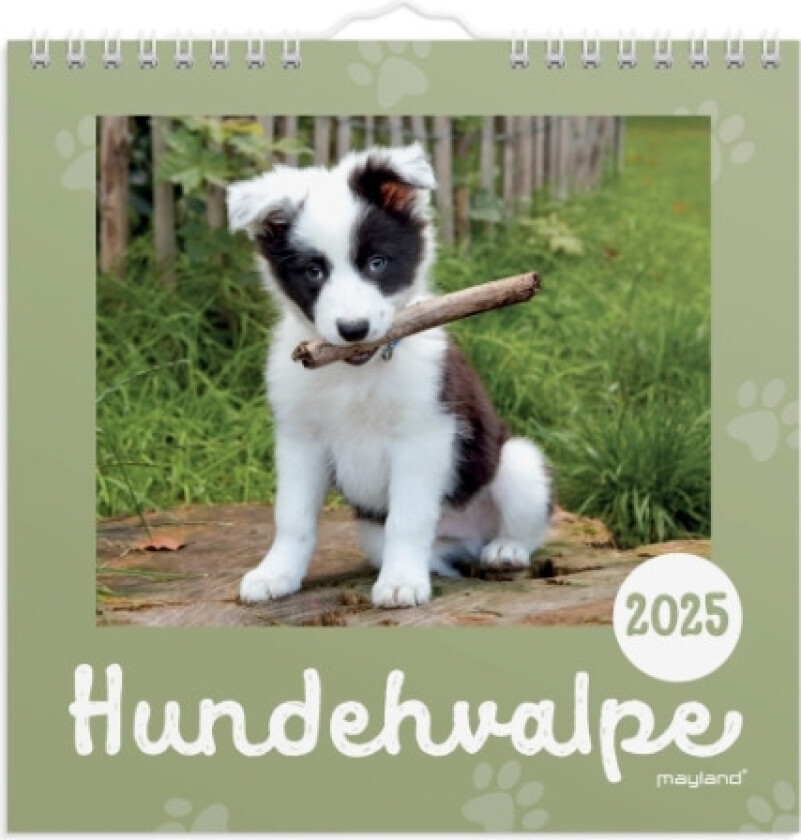 Vægkalender Mini Hundehvalpe 2025