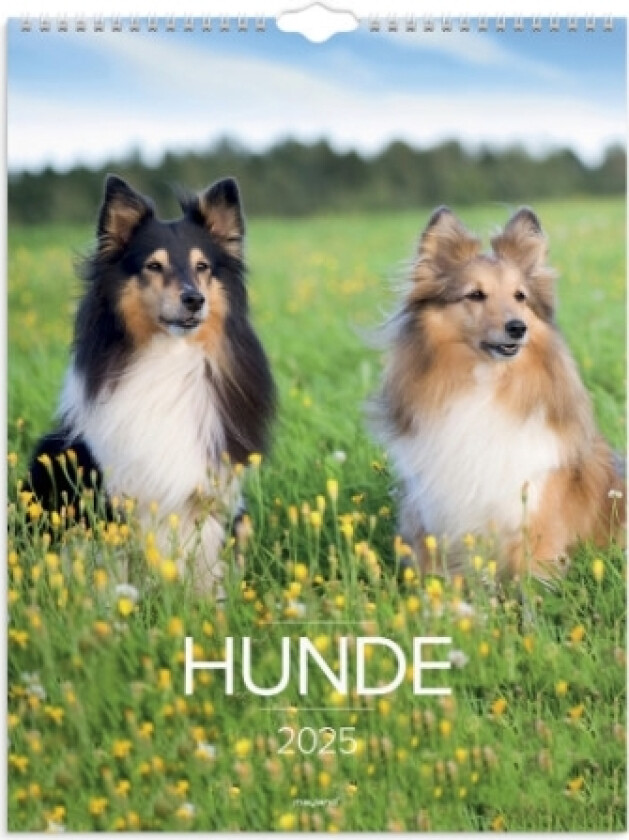 Vægkalender Hunde 2025