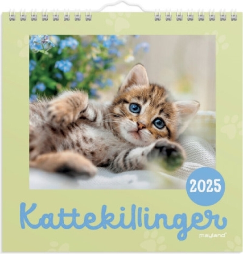 Vægkalender Mini Kattekillinger 2025