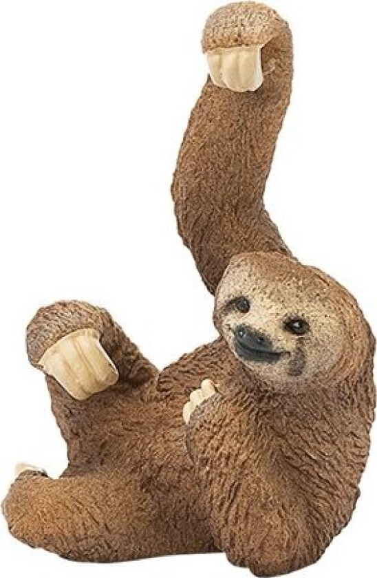 Sloth