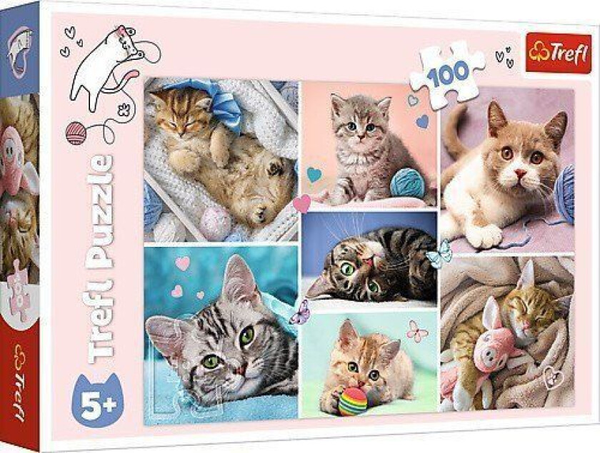 Puzzle 100 Pieces In The World Of Cats