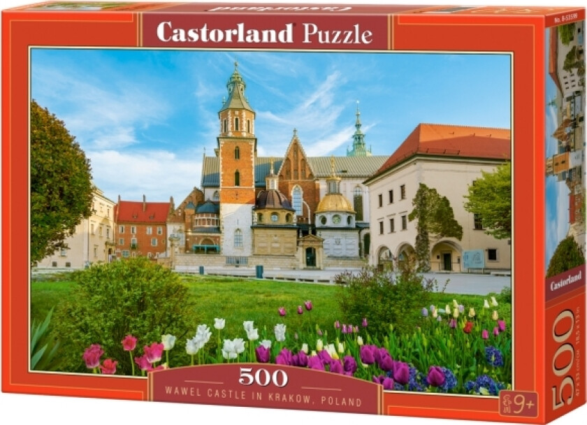 Castorland B-53599, 500 Stykker, By, 9 År