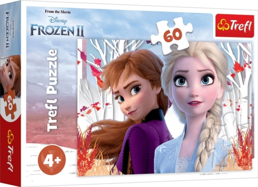 The Enchanted World Of Anna And Elsa, 60 Stykker, Tegneserier, 4 År