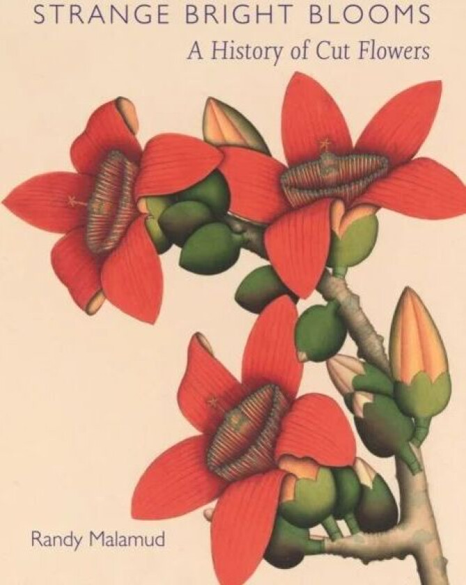 Strange Bright Blooms av Randy Malamud
