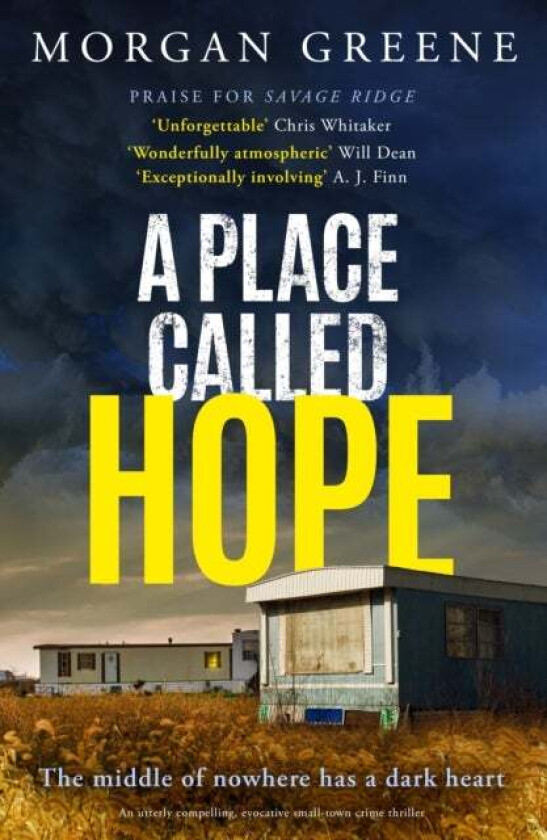A Place Called Hope av Morgan Greene