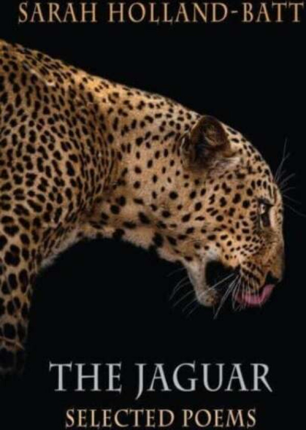 The Jaguar av Sarah Holland-Batt