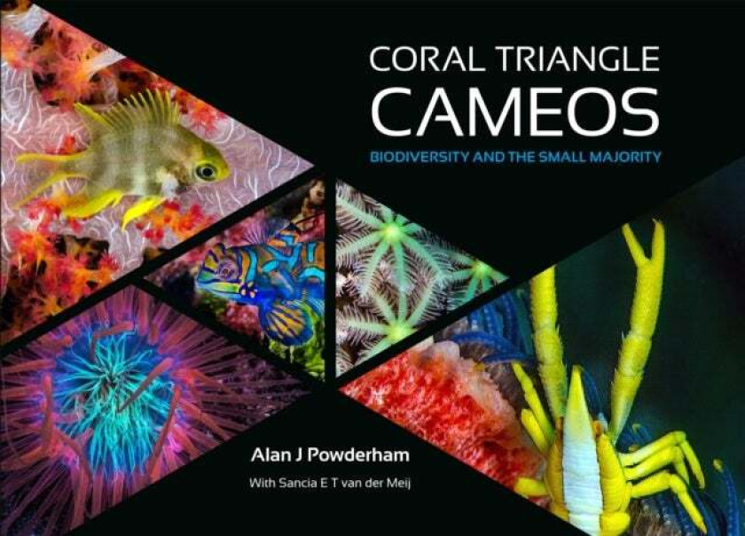 Coral Triangle Cameos av Alan J Powderham