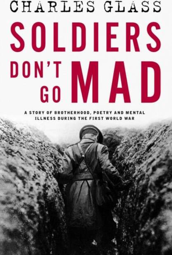 Soldiers Don't Go Mad av Charles Glass
