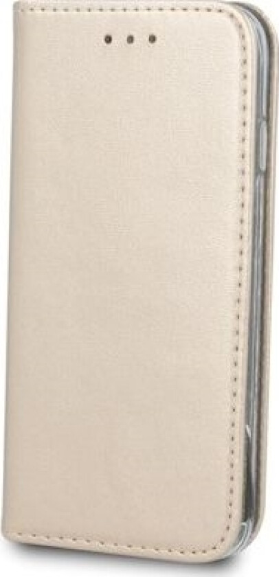 Telforceone Smart Magnet Deksel For Iphone 11 2019 (6,5") Gull