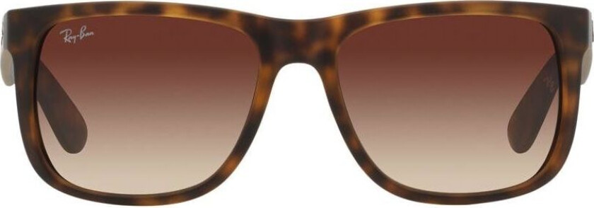 Ray-Ban Justin 0RB4165 Multi