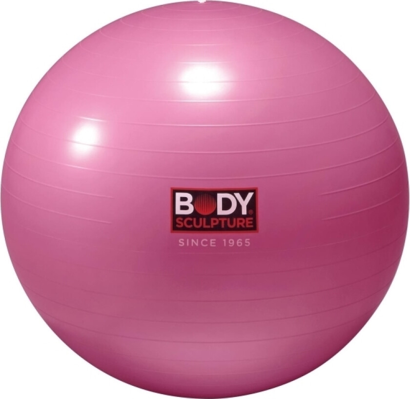 Anti-Burst Gym Ball 56 Cm Pink