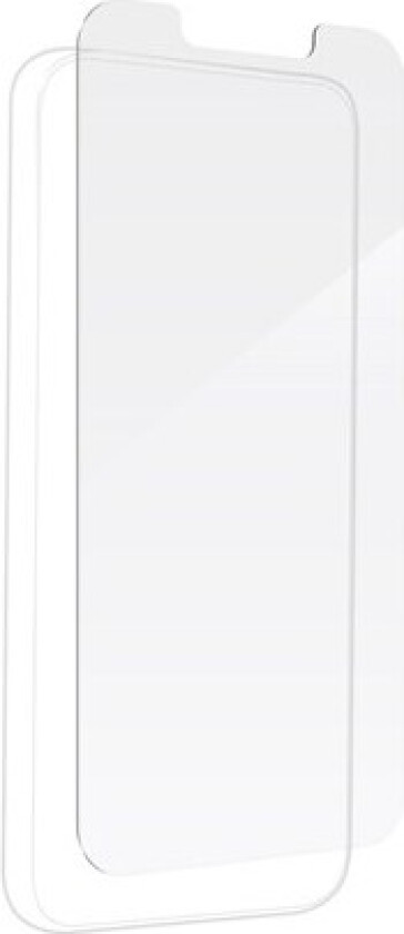 iFrogz Defence for Apple iPhone 13 Pro Max
